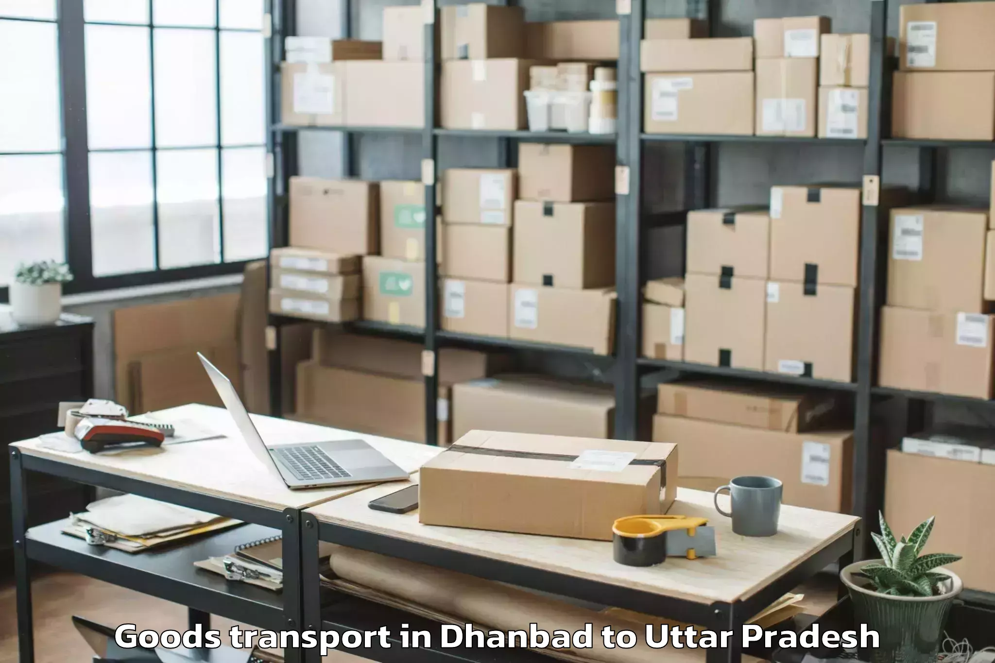 Trusted Dhanbad to Babrala Goods Transport